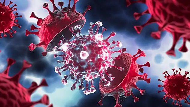 Uzman isim virüs gerçeğini açıkladı! Türkiye'de 9 kişide görüldü