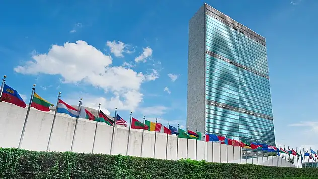 BM'ye adil temsil ve işlevsellik için reform çağrısı