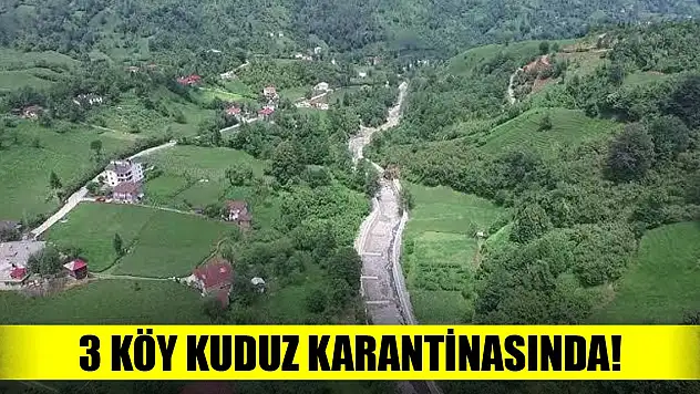 3 köy kuduz karantinasında!