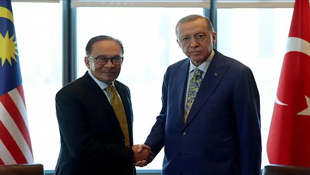 Cumhurbaşkanı Erdoğan, Malezya Başbakanı Enver İbrahim'i kabul etti