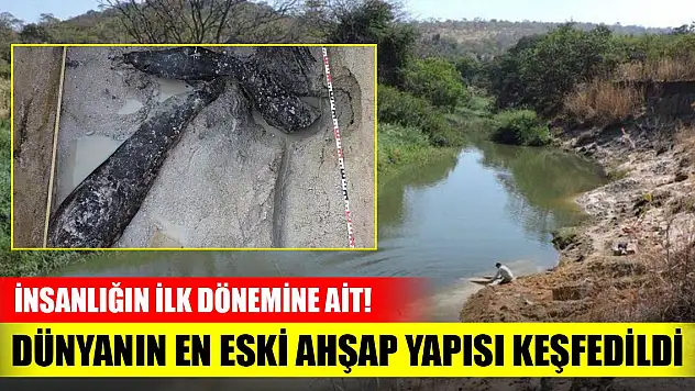 500 bin yıllık kütükler, dünyanın en eski ahşap yapısı keşfedildi