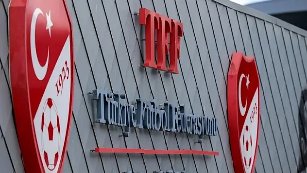 A Milli Futbol Takımı'nın teknik ekibi belli oldu