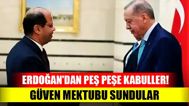 Cumhurbaşkanı Erdoğan'dan peş peşe kabuller! Güven mektubu sundular