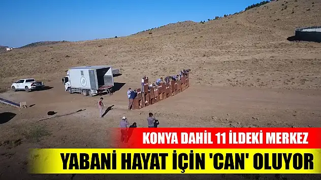 Konya dahil 11 ildeki merkez yabani hayat için 'can' oluyor