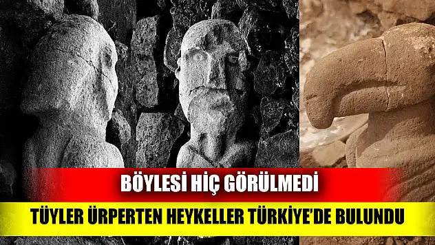 Böylesi ilk defa görüldü Tüyler ürperten heykeller Türkiye'de bulundu