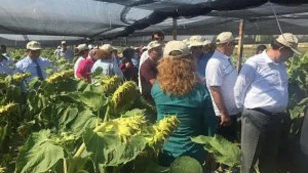 Konya'da 'Araştırma Günleri' etkinliği
