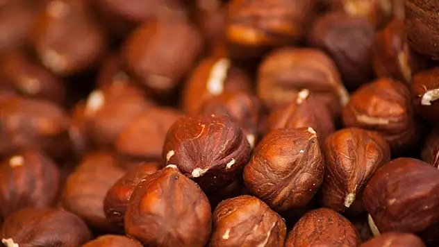 Eylülde 153 milyon dolarlık fındık ihracatı yapıldı