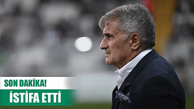 Son Dakika! Beşiktaş'ta Şenol Güneş istifa etti
