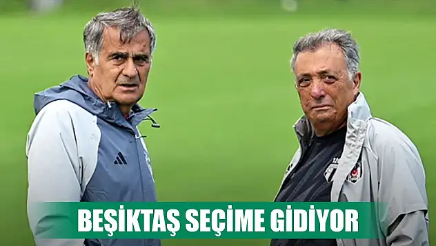 Beşiktaş seçime gidiyor