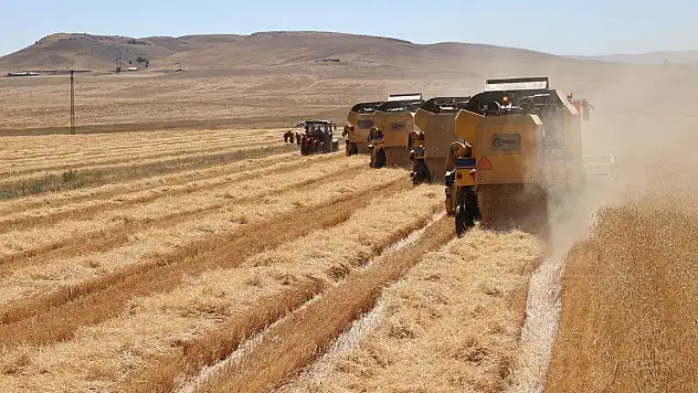 636 milyon liralık tarımsal destekleme ödemesi bugün yapılacak