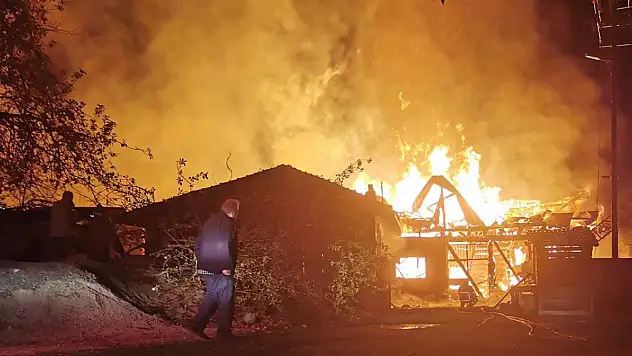 4 ev ve 1 ahırda çıkan yangında 22 büyükbaş hayvan yandı