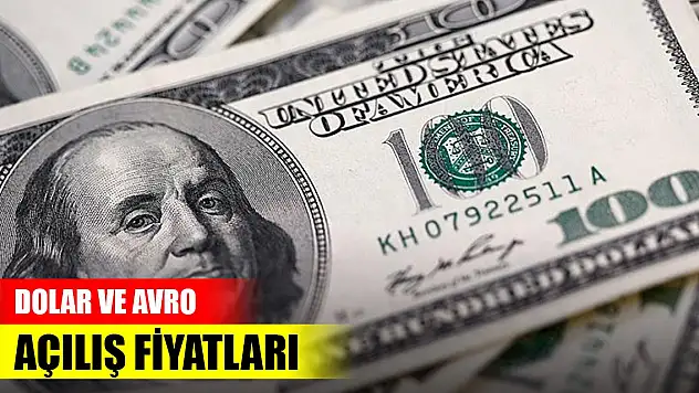 Serbest piyasada dolar ve avro açılış fiyatları (10 Ekim 2023)