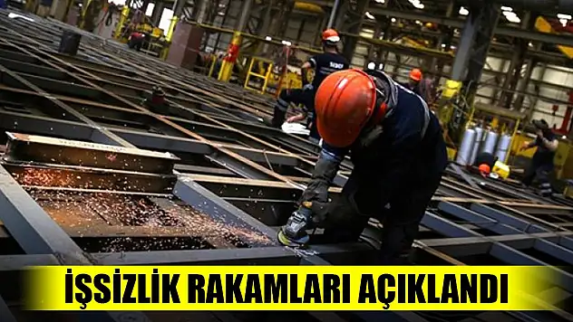 Son Dakika! İşsizlik rakamları açıklandı