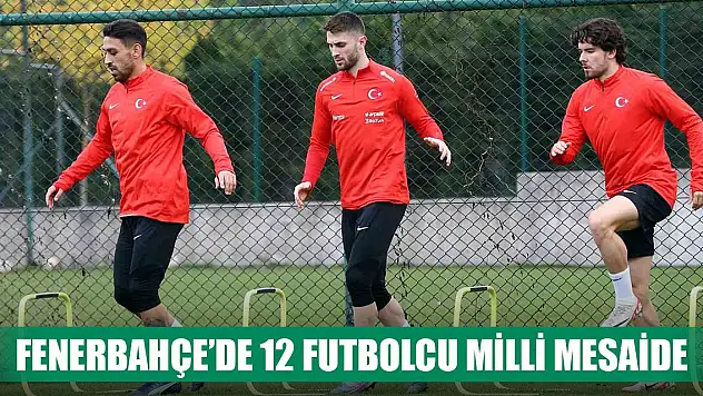 Fenerbahçe'de 12 futbolcu milli mesaide