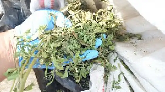 Konya'da 3 kilogram esrar ele geçirildi