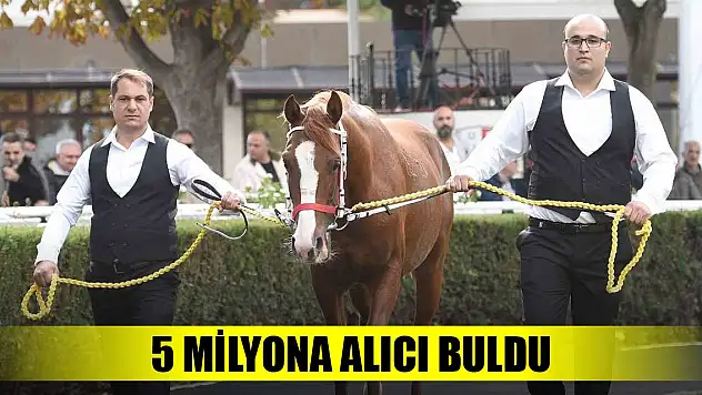Tay, tam 5 milyona alıcı buldu!