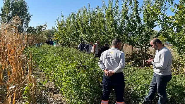 Konya Beyşehir'de çiftçilere tarla faresiyle mücadele eğitimi