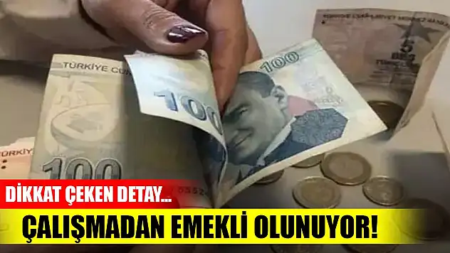 Emeklilik ile ilgili dikkat çeken detay... Çalışmadan emekli olunuyor!