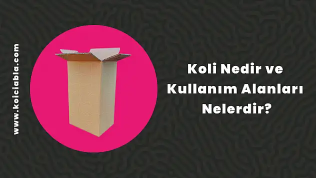 Koli Nedir ve Kullanım Alanları Nelerdir?