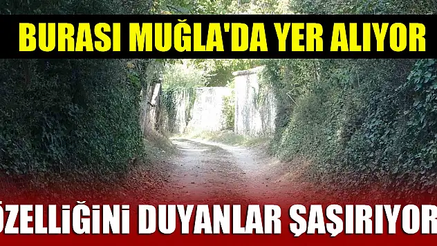 Muğla'da yer alıyor, özelliğini duyanlar şaşırıyor!