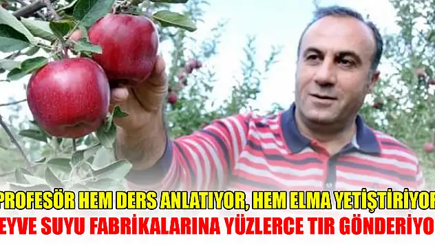 Profesör hem ders anlatıyor, hem elma yetiştiriyor...Meyve suyu fabrikalarına yüzlerce tır ürün gönderiyor
