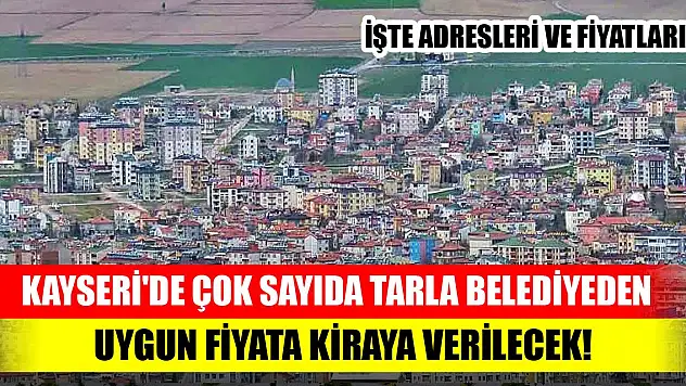 Kayseri'de çok sayıda tarla belediyeden uygun fiyata kiraya verilecek! İşte adresleri ve fiyatları