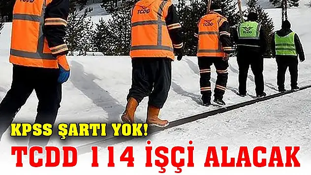 KPSS şartı yok! TCDD 114 işçi alacak