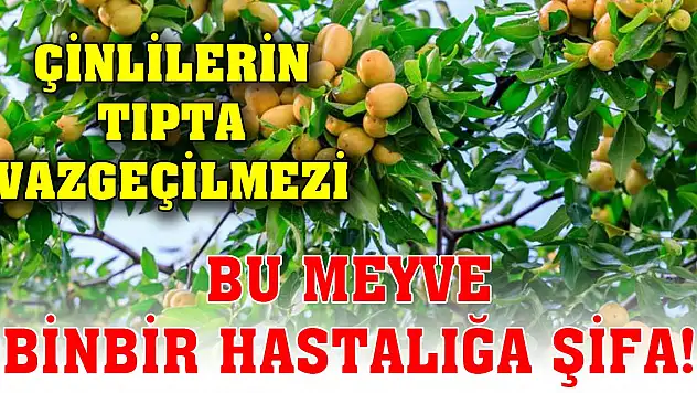 Bu meyve binbir hastalığa şifa! Çinliler tıpta kullanıyor