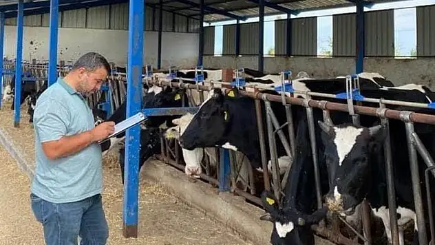 Konya'da Beyşehir'de hastalıktan ari işletmeler denetlendi