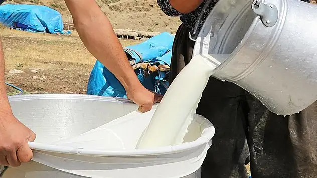 Çiğ süt fiyatlarında artış! Raf fiyatlarına yansıdı