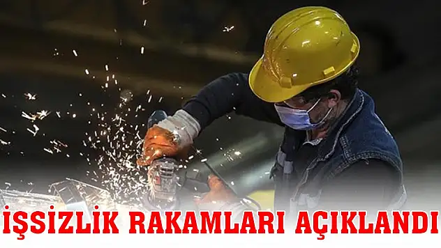 Son Dakika! İşsizlik rakamı açıklandı