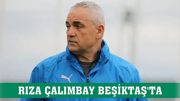 Son Dakika! Beşiktaş'ta Rıza Çalımbay dönemi
