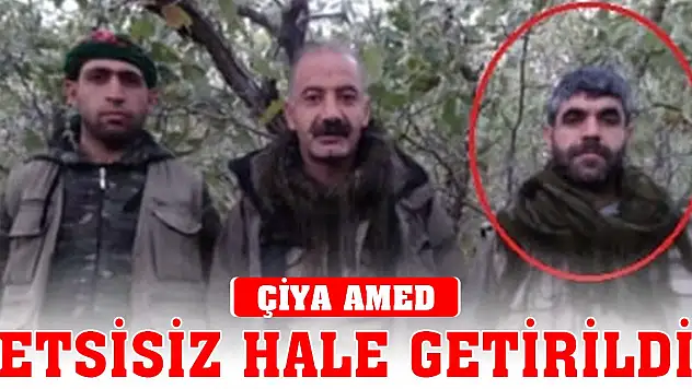 Son Dakika! MİT'ten nokta operasyon! PKK'lı Remzi Avcı etkisiz hale getirildi