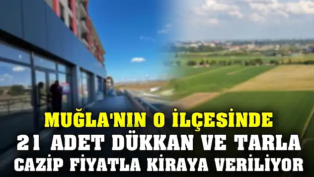 Muğla'nın o ilçesinde 21 adet dükkan ve tarla cazip fiyatla kiraya veriliyor