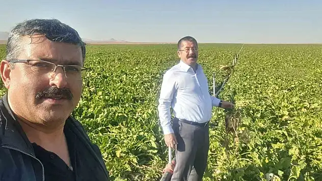 Konya Karapınar'da hasat mesaisi