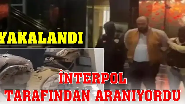 Mavi bültenle aranan uyuşturucu karteli lideri Christijan Palic yakalandı!