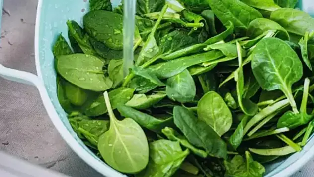 Ispanak temizlemek dert olmaktan çıkıyor