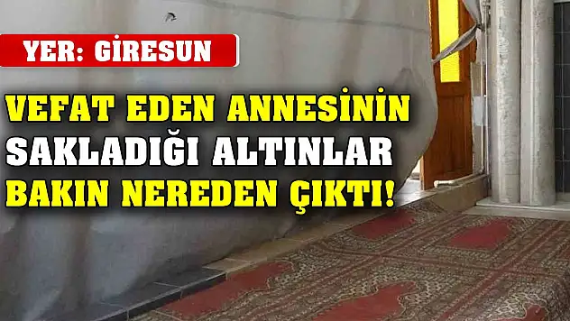 Yer Giresun... Vefat eden annesinin sakladığı altınlar bakın nereden çıktı!