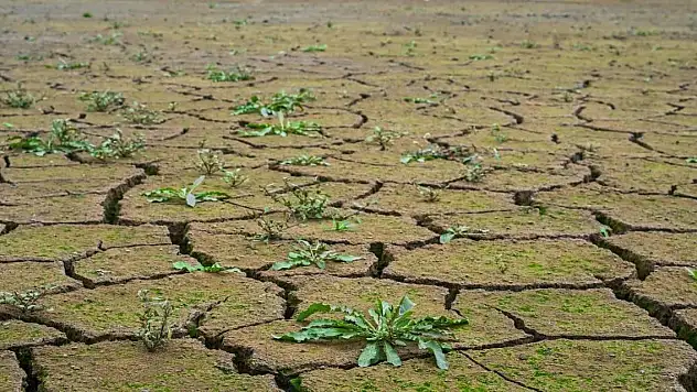 İklim değişikliğine uyum için hibe desteği verilecek