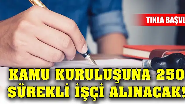 Kamu kuruluşuna 250 sürekli işçi alınacak!