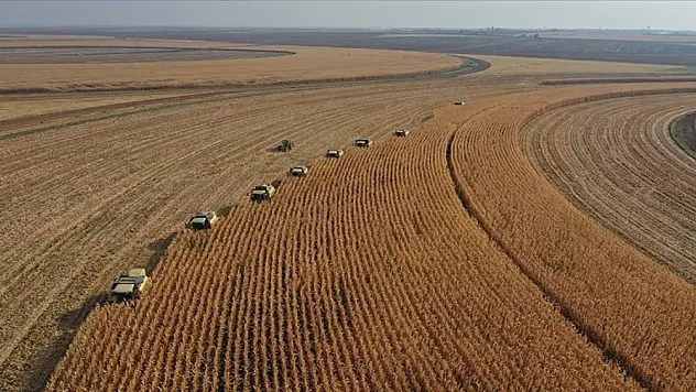 Tarımsal destekleme ödemeleri başladı!