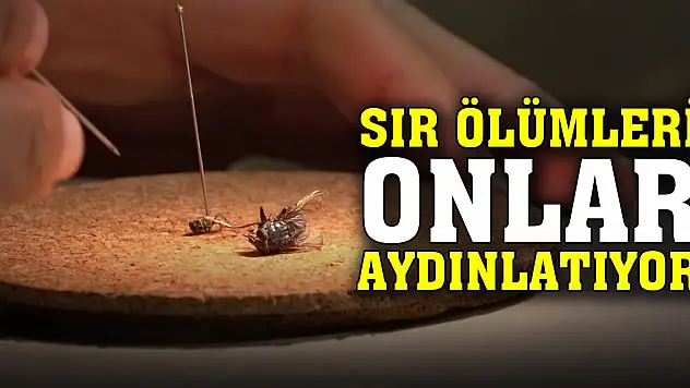 Sır ölümleri onlar aydınlatıyor