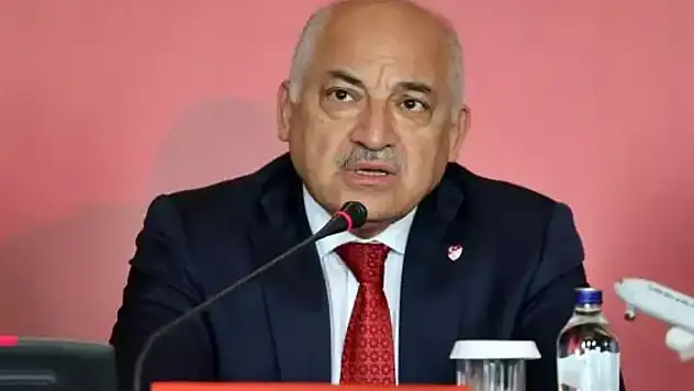 Büyükekşi'den EURO 2024 açıklaması! 'Ev sahibi gibi oynayacağız'