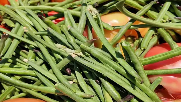 Taze fasulyenin rakibi 'karnıkara'nın faydaları