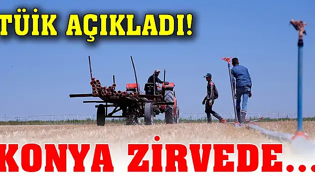 TÜİK açıkladı! Konya 3 sektörde zirvede...