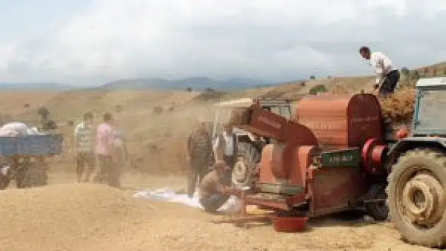 Nohutta verim düştü fiyatlar arttı