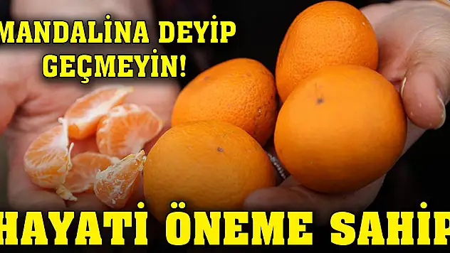 Mandalina deyip geçmeyin! Hayati öneme sahip