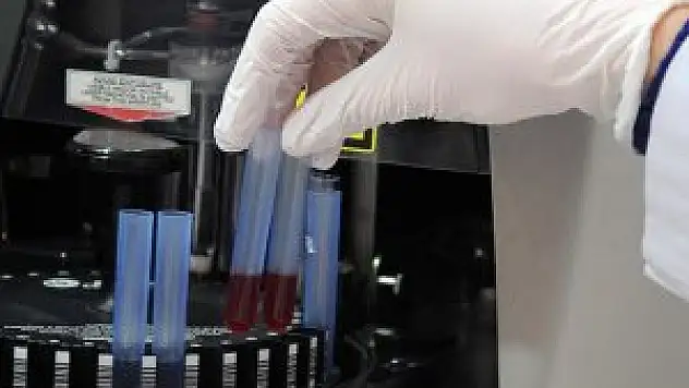 Sinir hasarının tedavisi bulundu