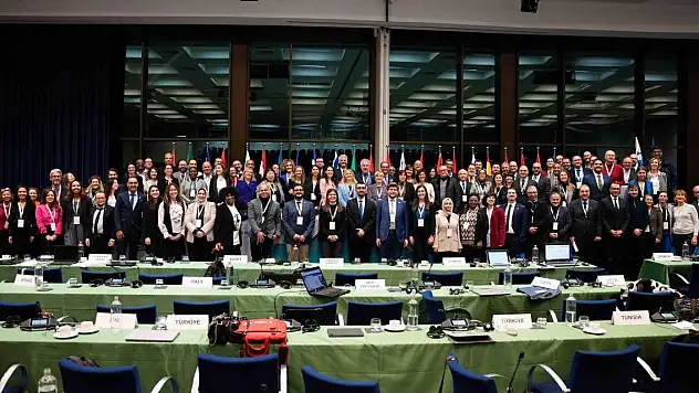 Türkiye'de 'İklim Değişikliği Bölgesel Faaliyet Merkezi' kurulacak