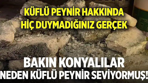 Konyalıların küflü peynir sevdası hakkında ilginç bilgi! Bakın sebebi neymiş